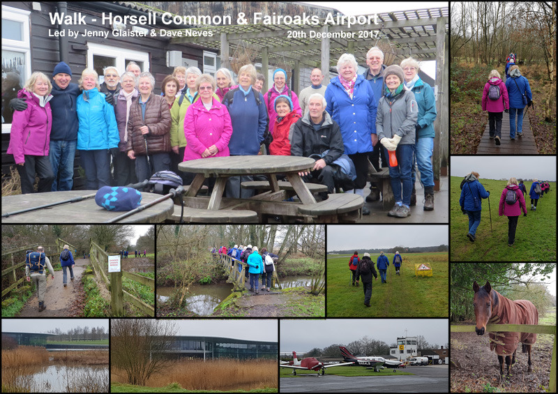 Walk - Horsell Common and Fairoaks Airport - 20th December 2017